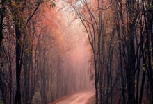 维尔茨首秀&amp;amp;努涅斯戴帽，利物浦5-0大胜斯托克城的简单介绍